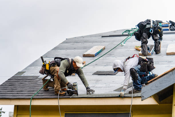 Professional Roofing technician working in Conesville, IA